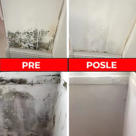 Sprej Protiv Buđi